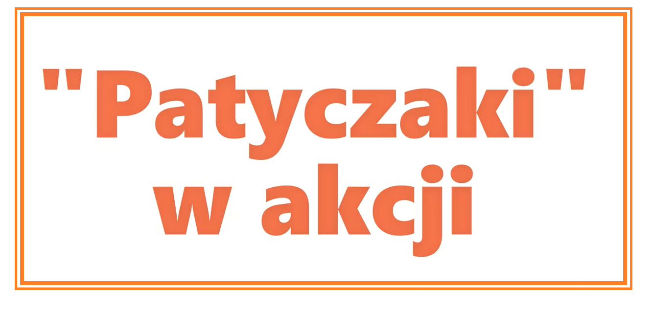 patyczaki.png